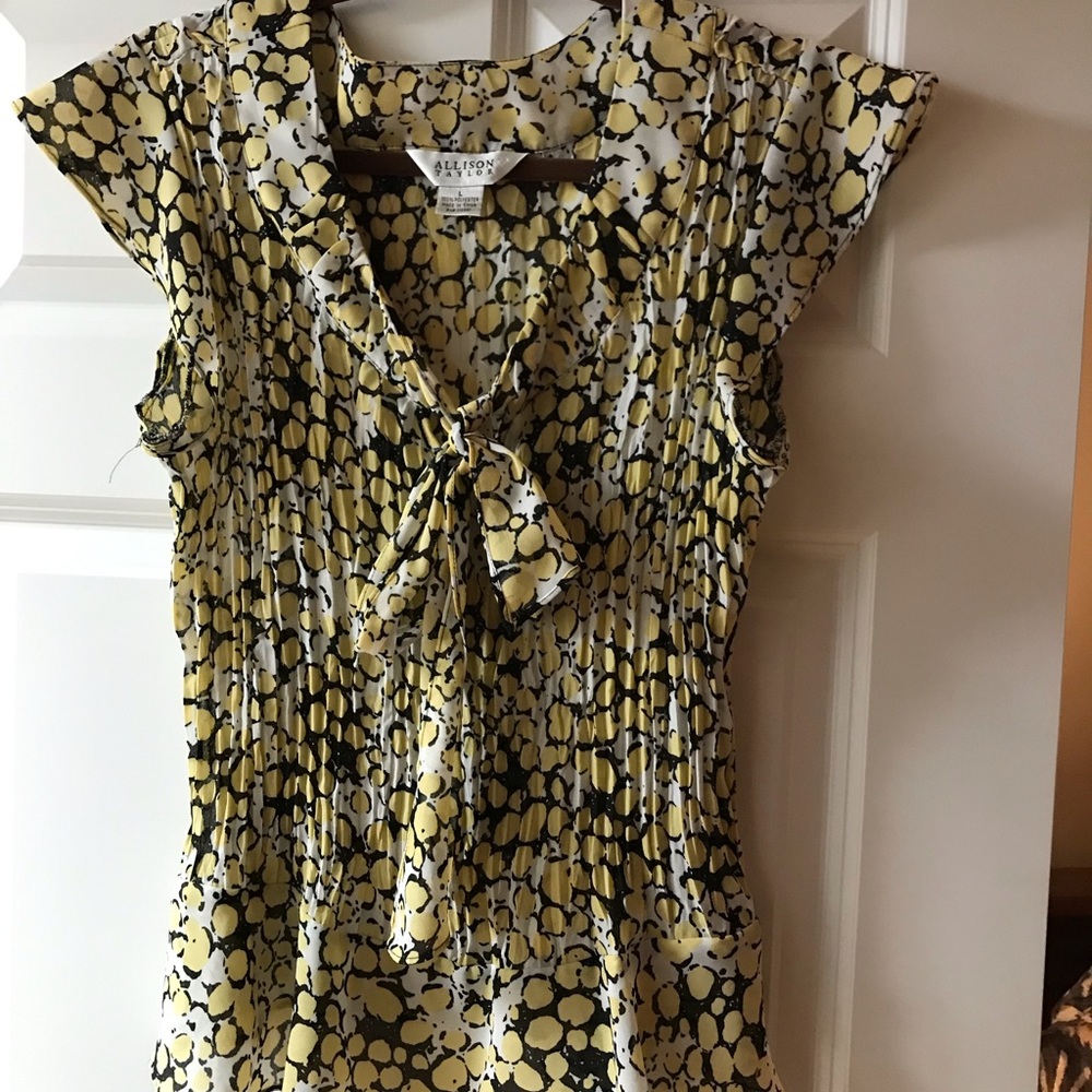 Allison Taylor pleated, cap sleeved blouse. Size large. Worn once